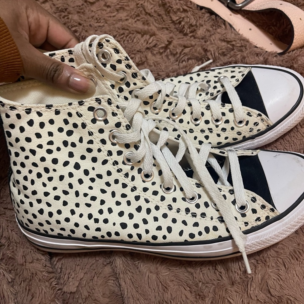 Dalmatian converse